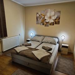 DebRentZen Station Apartman - business plus