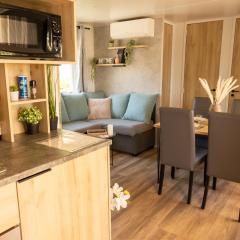 Mobile-home 4 à 6personnes au camping LES VIVIERS