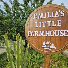 Emilia's Little Farmhouses