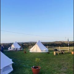 Gwens Garden