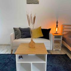 Spacious Studio in Sunny Villa Minutes to Beach