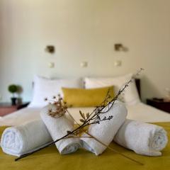 Porto Nuovo Studio 1