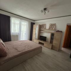 Central Civic Armoniei Studio - Self check in -Mall Afi