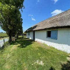 Charmante chaumière traditionnelle dans le Marais breton - FR-1-426-584
