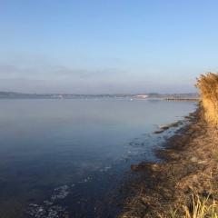 Parkresidenz Concordia, Wohnung Nr 8