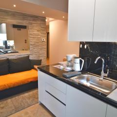 Theo Studio Lake View Escape