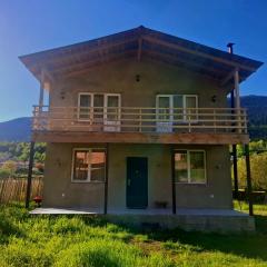 Mountain house in Mestia