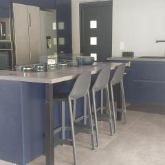 CAMELIA Villa contemporaine et son jardin arboré