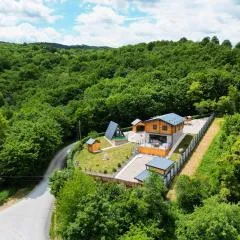 Holiday Home Zeleni Brijeg by Villas Guide