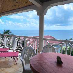 Villa Cannelle -Hibiscus