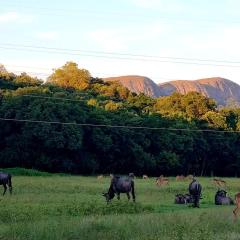 Harties Is Africa Safari Lodge