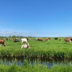 Geniet van de rust en de ruimte