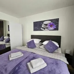 Dům se dvěma byty, zahrada, WiFi, Netflix a parkování zdarma, klidná část Hradce Králové