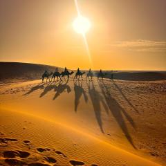 Sahara Luxe Camp