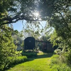 Stompy's Hut
