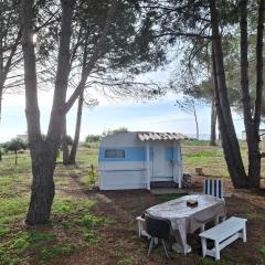 Caravane janis on the beach