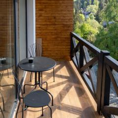 Vila Ferdinand - Apartament Iarina