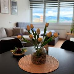 The Perle Sarajevo Tower Studio Free car park