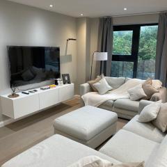 DAISI - 1 stop to London Bridge