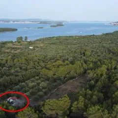 Secluded holiday house Pasman - 15649