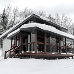 307 ch. Lac-Dion, Saint-Damien