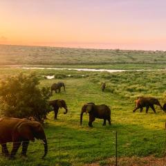 Elephant Walk Tented Camp