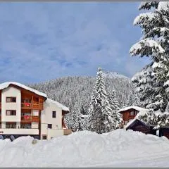 Ski Residence