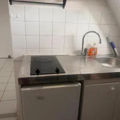 APPARTEMENT FRIZEBOIs