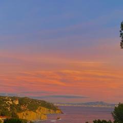 La parenthèse bleue