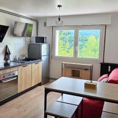 Appart'Hotel Lizon Cocooning avec sauna