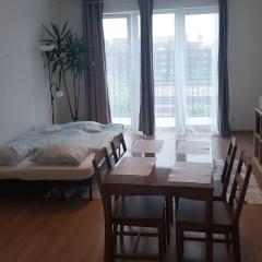 519 Family Apartment 2 near by Heroes Square with free garage
