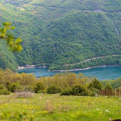 Micanovic Family House