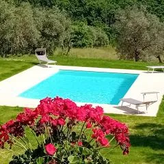 Podere Lucignano Secondo Agriturismo