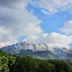 Pokoje Goscinne Majerczyk