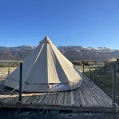 Syndinstøga