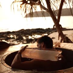 Kactus - Your Island Sanctuary