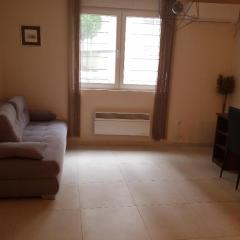 Apartment near the Temple of St Sava