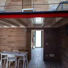 Antica casa con volte a vista