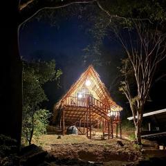 Itsalifestyle Jungle Cabana