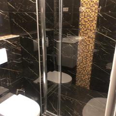 Stephans Basilica premier apartment