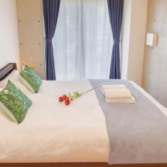 浅草 ideas hotel 大床房