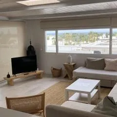 Mimosas 27