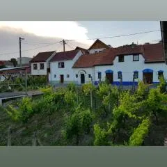 Vinný sklípek s ubytováním