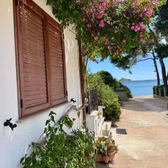 So close to the sea