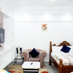 salmi's homes