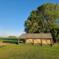 Glamping Safaritent 4 persoons