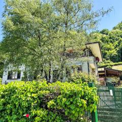 Apartment Nel Castagneto-2 by Interhome