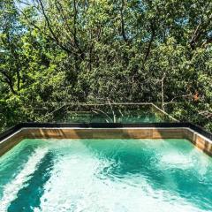 Magnificent Villa one block from Playacar beach