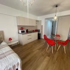 Calido y comodo departamento en palermo