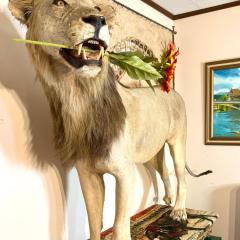 Cleveland Charm on W 15th